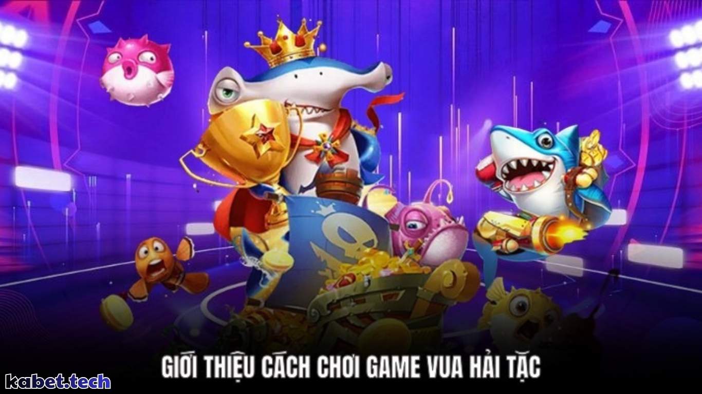 Luật chơi Vua hải tặc nhất định phải nắm được Luật chơi Vua hải tặc nhất định phải nắm được